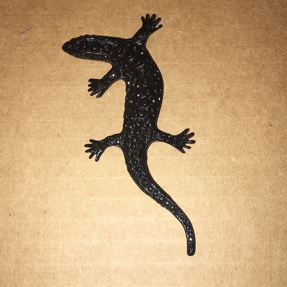Lizard pin.